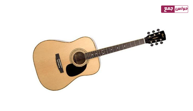 Cort AD880 Acoustic Guitar